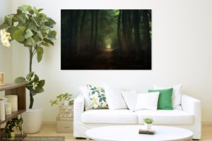 Beautiful morning in Speulderbos forest by Tim Abeln Photography and Digital Art Prints. Beautiful wall decoration for your home and office.