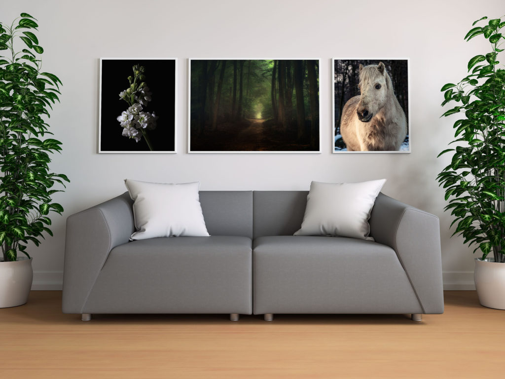Tim Abeln Photography and Digital Art Prints. Beautiful wall decoration for your home and office.